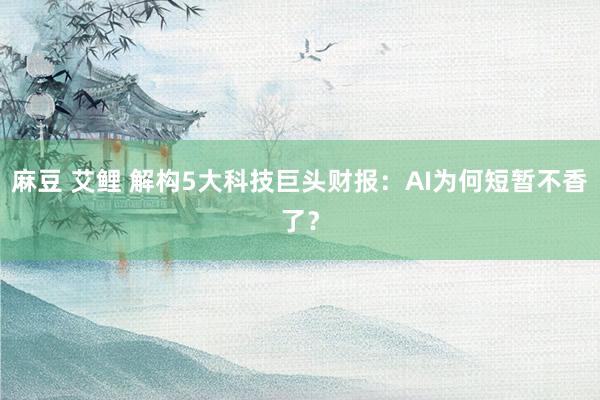 麻豆 艾鲤 解构5大科技巨头财报：AI为何短暂不香了？