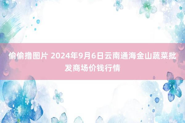 偷偷撸图片 2024年9月6日云南通海金山蔬菜批发商场价钱行情