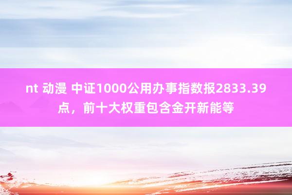 nt 动漫 中证1000公用办事指数报2833.39点，前十大权重包含金开新能等