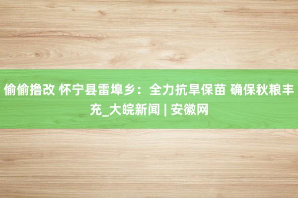 偷偷撸改 怀宁县雷埠乡：全力抗旱保苗 确保秋粮丰充_大皖新闻 | 安徽网