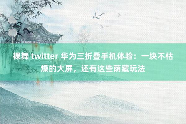 裸舞 twitter 华为三折叠手机体验：一块不枯燥的大屏，还有这些荫藏玩法