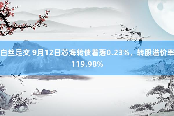 白丝足交 9月12日芯海转债着落0.23%，转股溢价率119.98%