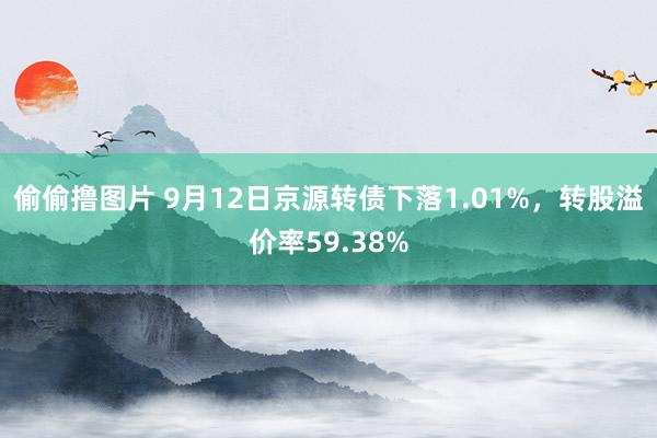 偷偷撸图片 9月12日京源转债下落1.01%，转股溢价率59.38%