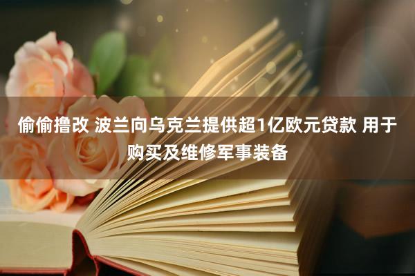 偷偷撸改 波兰向乌克兰提供超1亿欧元贷款 用于购买及维修军事装备