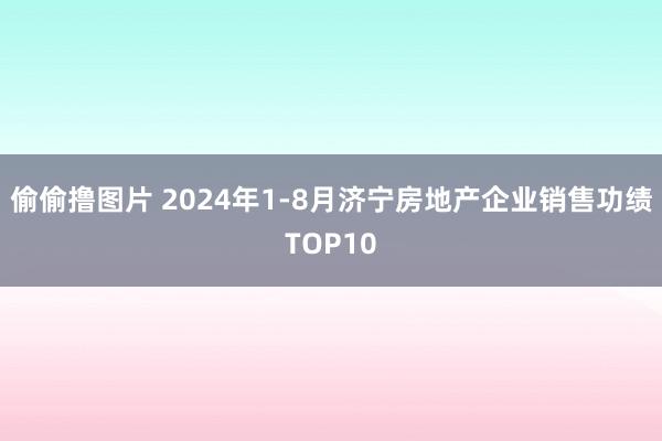 偷偷撸图片 2024年1-8月济宁房地产企业销售功绩TOP10