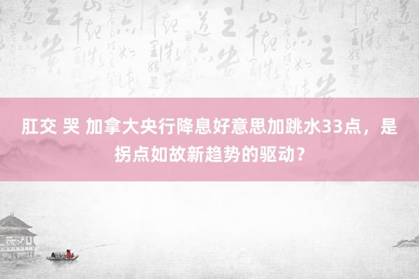 肛交 哭 加拿大央行降息好意思加跳水33点，是拐点如故新趋势的驱动？