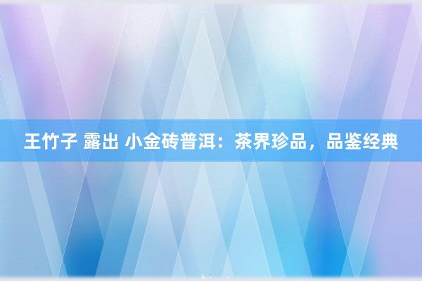 王竹子 露出 小金砖普洱：茶界珍品，品鉴经典