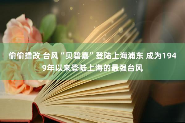 偷偷撸改 台风“贝碧嘉”登陆上海浦东 成为1949年以来登陆上海的最强台风