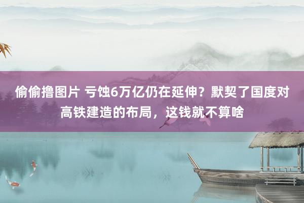 偷偷撸图片 亏蚀6万亿仍在延伸？默契了国度对高铁建造的布局，这钱就不算啥