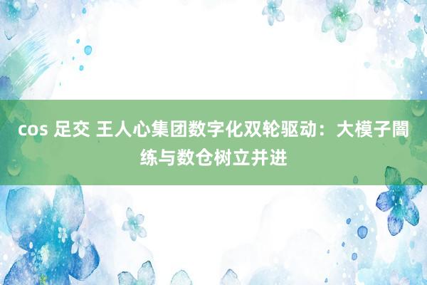 cos 足交 王人心集团数字化双轮驱动：大模子闇练与数仓树立并进