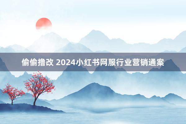 偷偷撸改 2024小红书网服行业营销通案