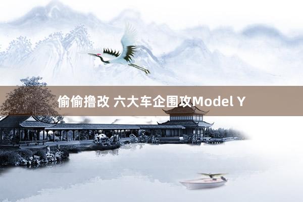 偷偷撸改 六大车企围攻Model Y