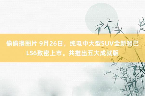 偷偷撸图片 9月26日，纯电中大型SUV全新智己LS6致密上市。共推出五大成就版