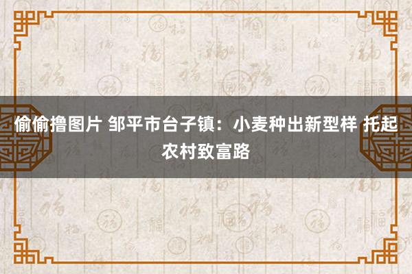 偷偷撸图片 邹平市台子镇：小麦种出新型样 托起农村致富路