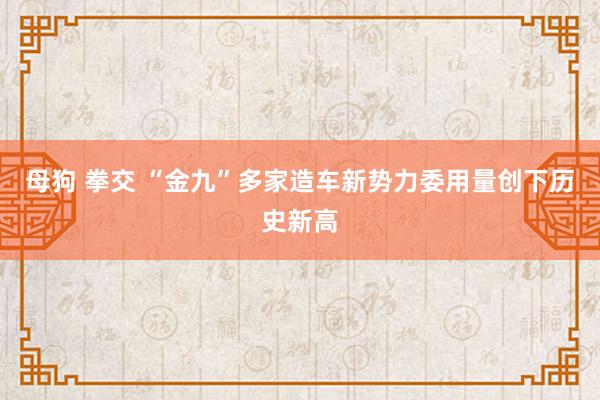 母狗 拳交 “金九”多家造车新势力委用量创下历史新高