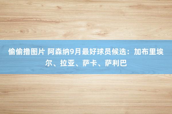 偷偷撸图片 阿森纳9月最好球员候选：加布里埃尔、拉亚、萨卡、萨利巴