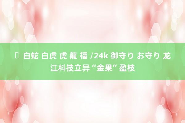 ✨白蛇 白虎 虎 龍 福 /24k 御守り お守り 龙江科技立异“金果”盈枝