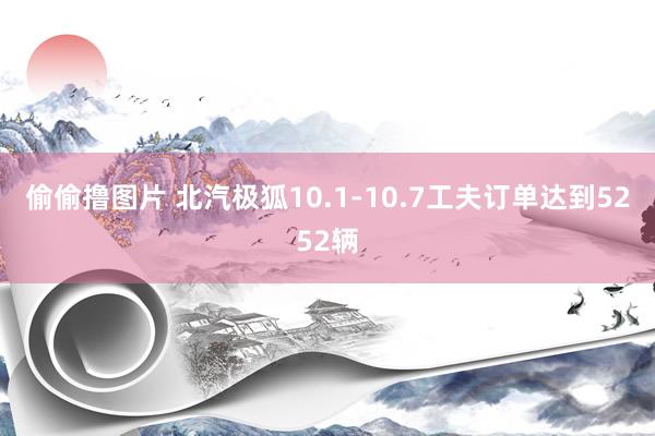 偷偷撸图片 北汽极狐10.1-10.7工夫订单达到5252辆