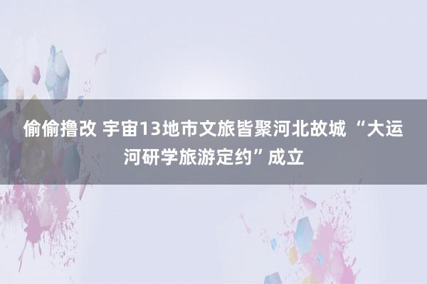 偷偷撸改 宇宙13地市文旅皆聚河北故城 “大运河研学旅游定约”成立