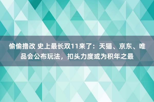 偷偷撸改 史上最长双11来了：天猫、京东、唯品会公布玩法，扣头力度或为积年之最