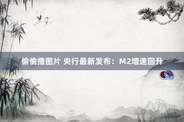 偷偷撸图片 央行最新发布：M2增速回升