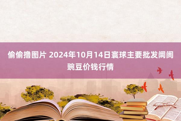 偷偷撸图片 2024年10月14日寰球主要批发阛阓豌豆价钱行情