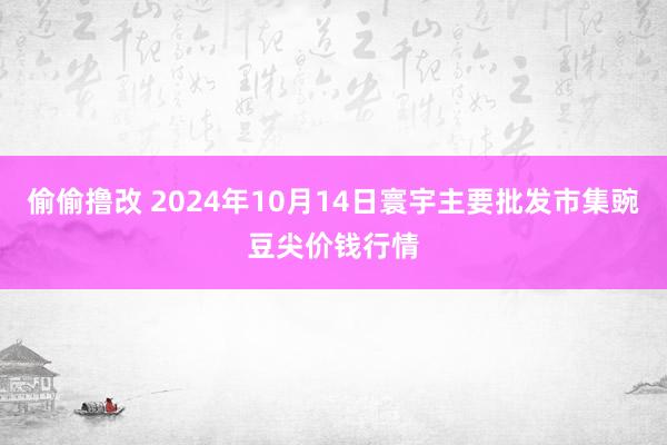 偷偷撸改 2024年10月14日寰宇主要批发市集豌豆尖价钱行情