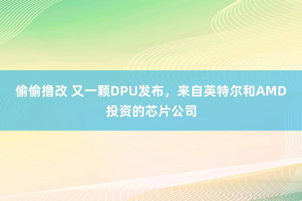 偷偷撸改 又一颗DPU发布，来自英特尔和AMD投资的芯片公司