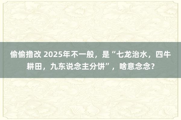 偷偷撸改 2025年不一般，是“七龙治水，四牛耕田，九东说念主分饼”，啥意念念？