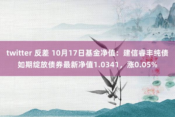 twitter 反差 10月17日基金净值：建信睿丰纯债如期绽放债券最新净值1.0341，涨0.05%