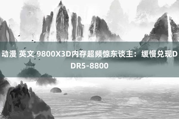 动漫 英文 9800X3D内存超频惊东谈主：缓慢兑现DDR5-8800