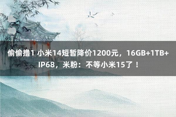 偷偷撸1 小米14短暂降价1200元，16GB+1TB+IP68，米粉：不等小米15了 ！