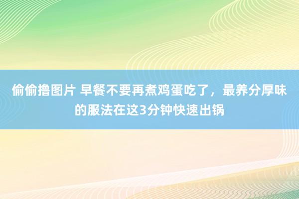 偷偷撸图片 早餐不要再煮鸡蛋吃了，最养分厚味的服法在这3分钟快速出锅