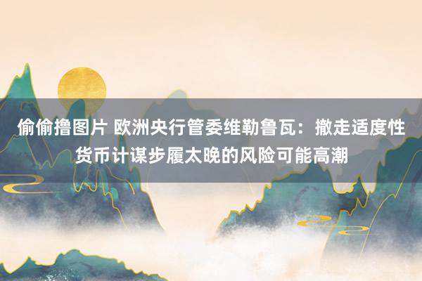 偷偷撸图片 欧洲央行管委维勒鲁瓦：撤走适度性货币计谋步履太晚的风险可能高潮