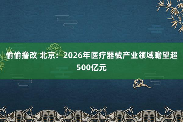 偷偷撸改 北京：2026年医疗器械产业领域瞻望超500亿元