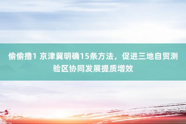 偷偷撸1 京津冀明确15条方法，促进三地自贸测验区协同发展提质增效