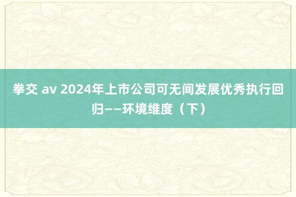 拳交 av 2024年上市公司可无间发展优秀执行回归——环境维度（下）