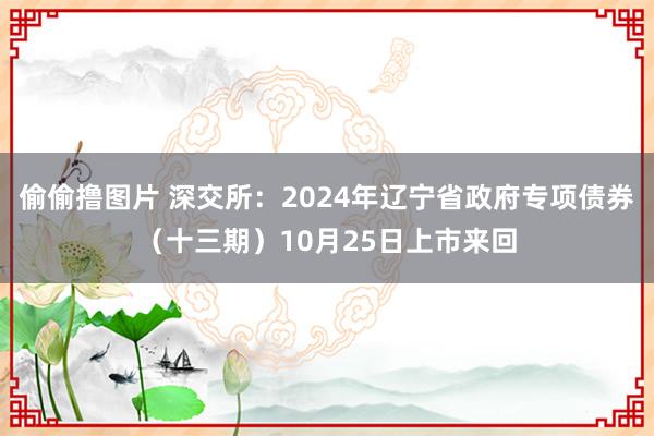 偷偷撸图片 深交所：2024年辽宁省政府专项债券（十三期）10月25日上市来回