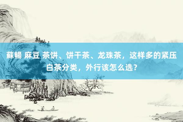 蘇暢 麻豆 茶饼、饼干茶、龙珠茶，这样多的紧压白茶分类，外行该怎么选？