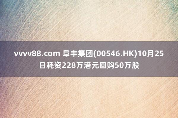 vvvv88.com 阜丰集团(00546.HK)10月25日耗资228万港元回购50万股