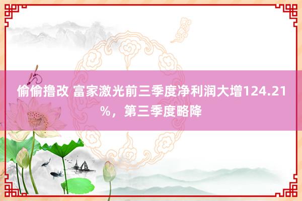 偷偷撸改 富家激光前三季度净利润大增124.21%，第三季度略降