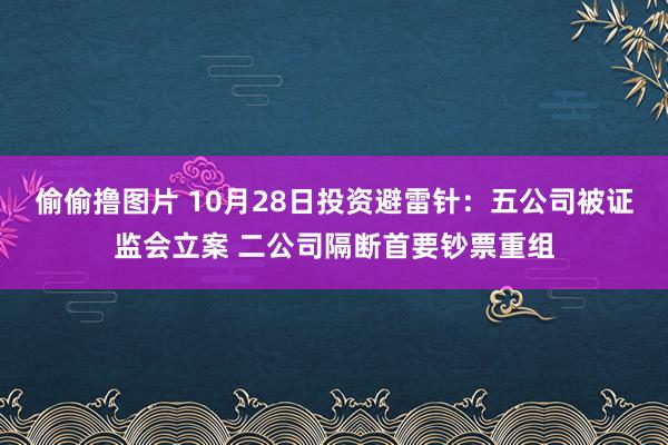 偷偷撸图片 10月28日投资避雷针：五公司被证监会立案 二公司隔断首要钞票重组