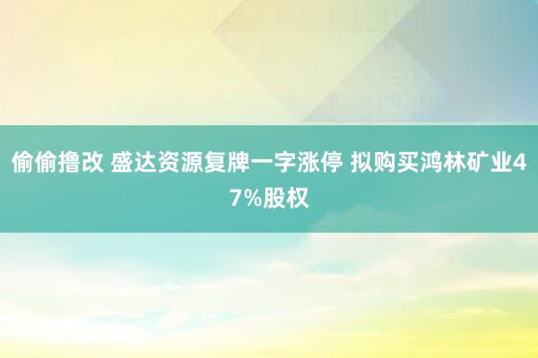 偷偷撸改 盛达资源复牌一字涨停 拟购买鸿林矿业47%股权