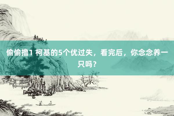 偷偷撸1 柯基的5个优过失，看完后，你念念养一只吗？