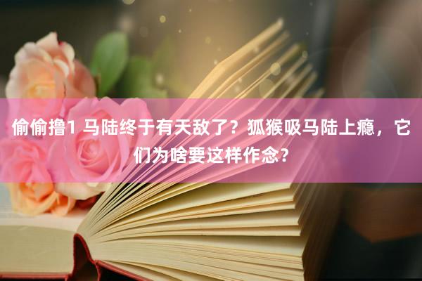 偷偷撸1 马陆终于有天敌了？狐猴吸马陆上瘾，它们为啥要这样作念？