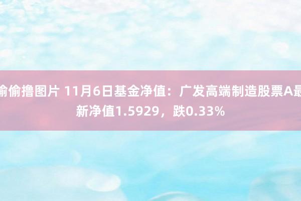 偷偷撸图片 11月6日基金净值：广发高端制造股票A最新净值1.5929，跌0.33%