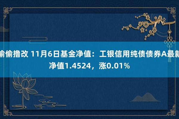 偷偷撸改 11月6日基金净值：工银信用纯债债券A最新净值1.4524，涨0.01%