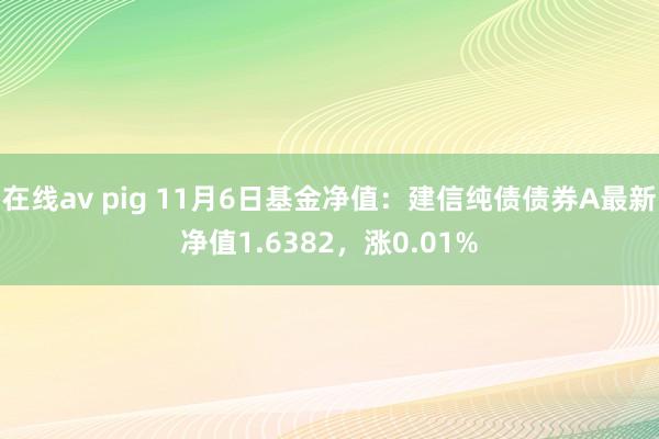 在线av pig 11月6日基金净值：建信纯债债券A最新净值1.6382，涨0.01%