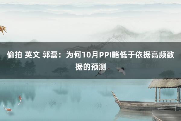 偷拍 英文 郭磊：为何10月PPI略低于依据高频数据的预测