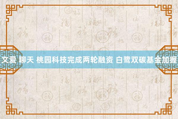 文爱 聊天 桃园科技完成两轮融资 白鹭双碳基金加握